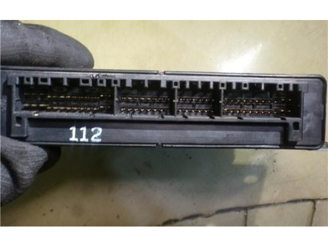 Řídící jednotka 3912138410, 9040930112A1   Hyundai Santa Fe 2003