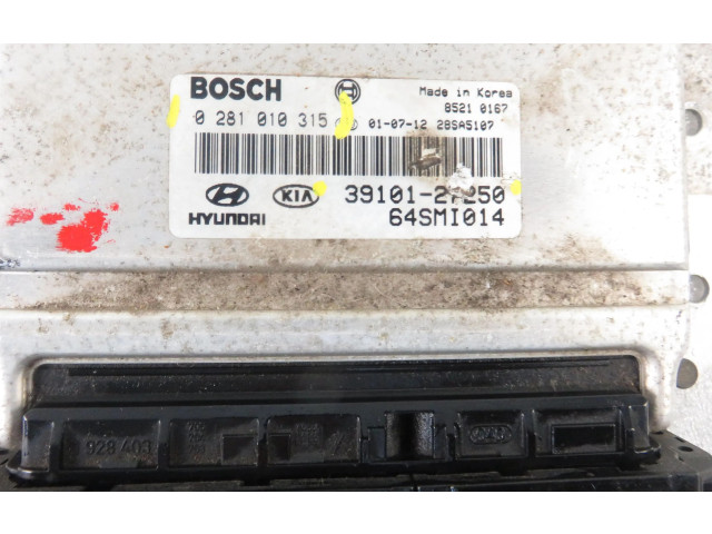 Řídící jednotka 3910127250, 0281010315   Hyundai Santa Fe 2001