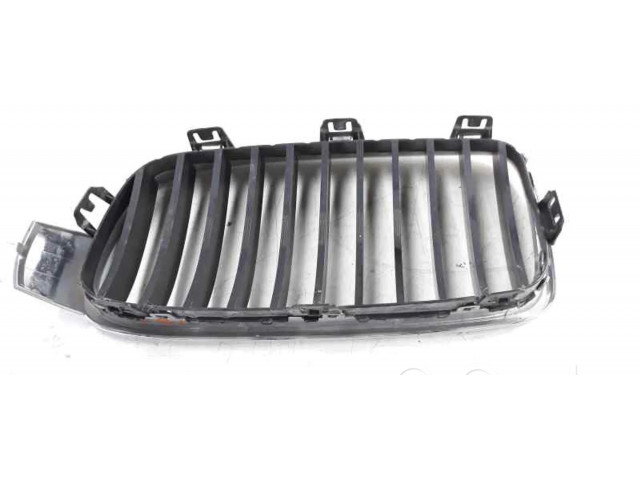 Решётка в плоскости крышки BMW M3  19297610, 107063315      