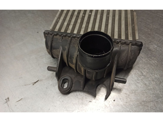 Píst 1449600Q0A   Nissan Primastar    F9QU762 