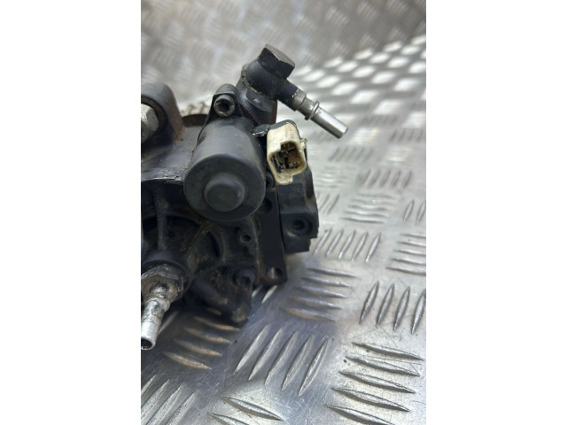 Vstřikovací čerpadlo 167003669R, 5WS40844   Renault Megane IV    K9K656 