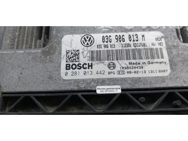 Řídící jednotka 0281013442, 03G906013M   Skoda Fabia Mk2 (5J) 2007