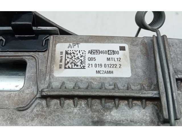 Volant Mercedes-Benz GLC X253 C253 2021 A2534604500  