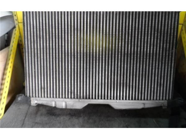Интеркулер  9688473580   Citroen C6 