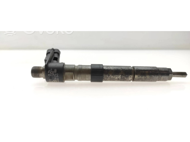 Форсунка 0445116043    Land Rover Range Rover Evoque L538 для дизельного двигателя  2.2