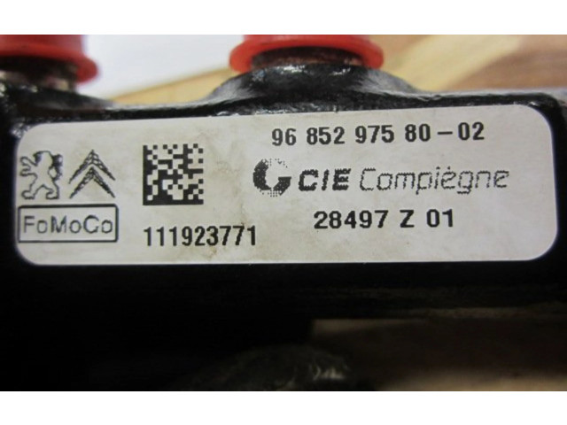 Vstřikovací lišta 9685297580   Peugeot 207    8HR(DV4TD), 8HZ(DV4TD) 