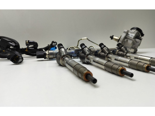 Комплект системы впрыска топлива 0445010768, 8514148    BMW 5 G30 G31  2.00 l / 140 kW (B47O) 