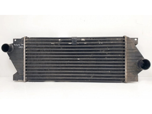 Интеркулер  1030285AR, 1035050   Mercedes-Benz ML W163 2.7