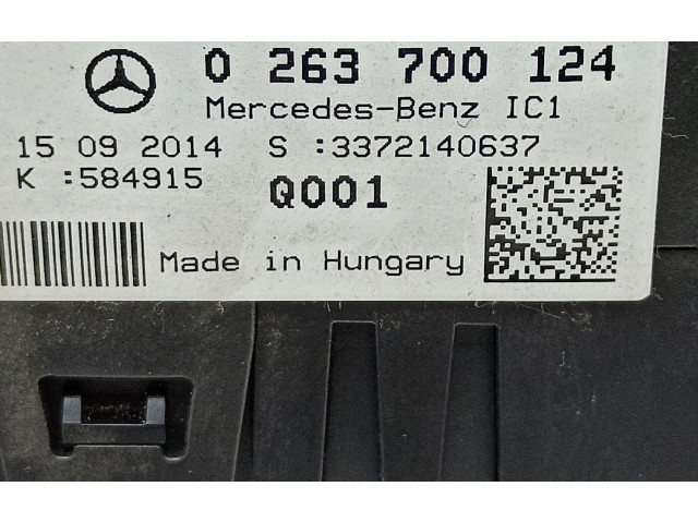 Přístrojová deska  Mercedes-Benz A W176 2014 A1769008901, 0263700124  