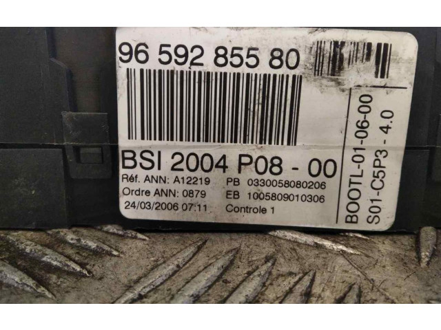  Pojistková skříňka 9659285580   Peugeot 207 