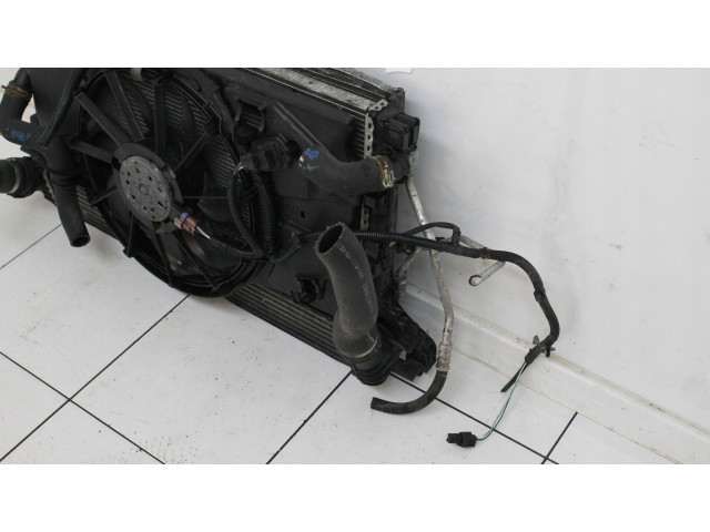 Комплект радиатора 2008R    Renault Laguna III