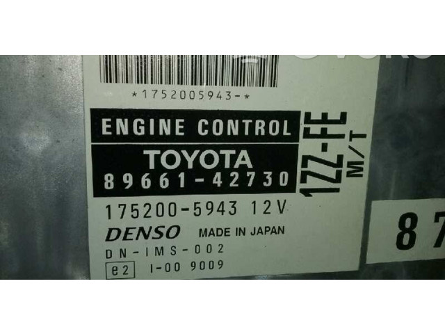 Řídící jednotka 1752005943, 8966142730   Toyota RAV 4 (XA10) 2002