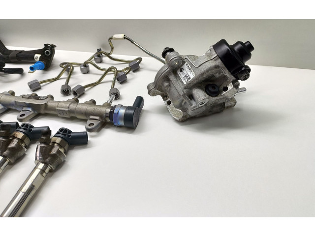Комплект системы впрыска топлива 0445010768, 8514148    BMW 5 G30 G31  2.00 l / 140 kW (B47O) 