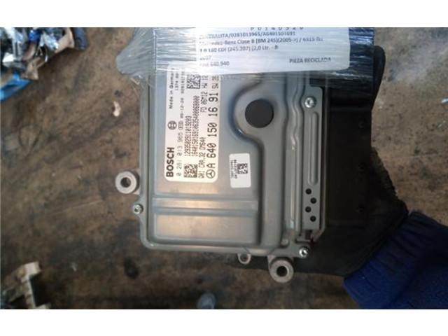 Řídící jednotka A6401501691, 281013965   Mercedes-Benz B W245 2007