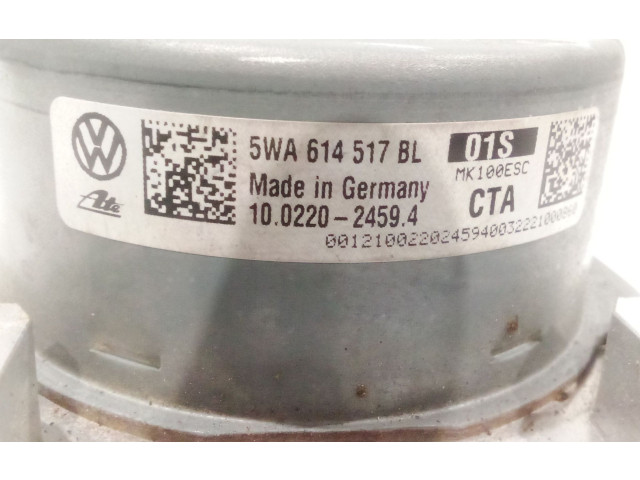 Блок АБС 5WA614517BL, 5WA614517BL   Cupra  Formentor  2020 -  года