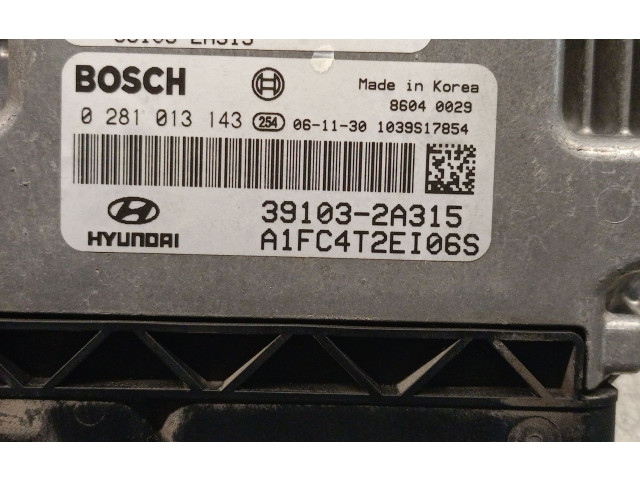 Řídící jednotka 391032A315, 0281013143BOSCH   Hyundai Matrix 2007