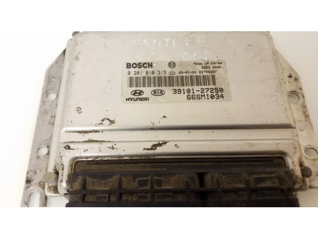 Řídící jednotka 0281010315, 3910127250   Hyundai Santa Fe 2001