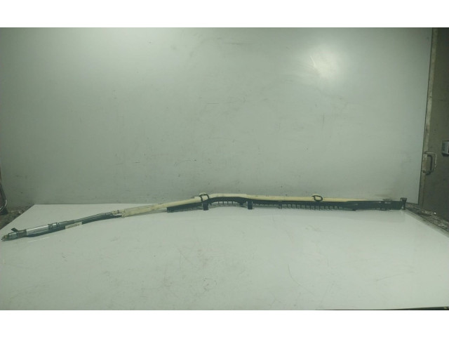 Подушка безопасности двери A2198600005, 6023718007   Mercedes-Benz CLS AMG C219