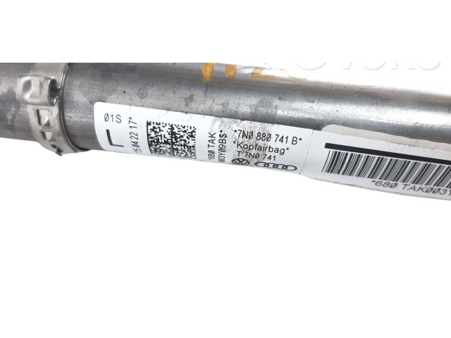 Подушка безопасности двери 7N0880741B   Seat Alhambra (Mk2)