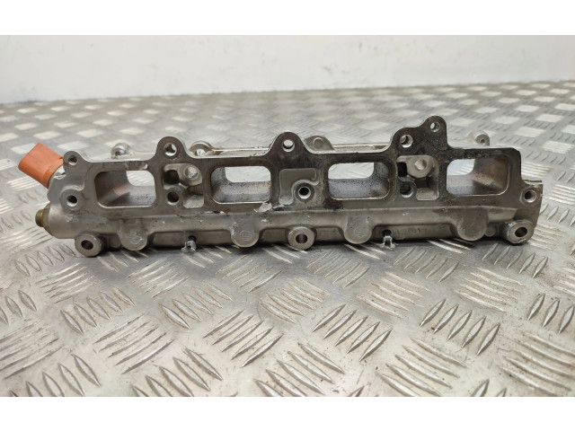 Топливная рампа 3328342, 0261545051   Volkswagen Tiguan   для двигателя Cav