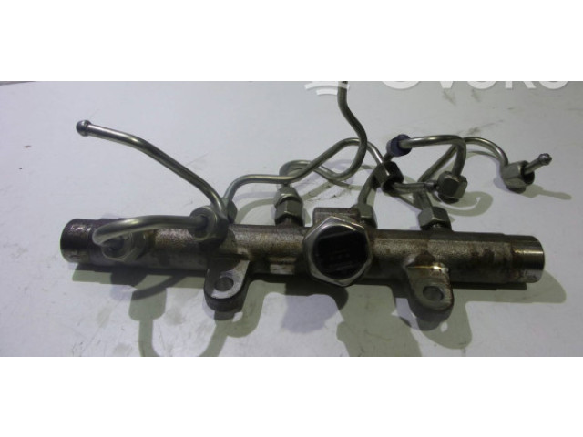 Vstřikovací lišta 8200704212   Renault Megane III     