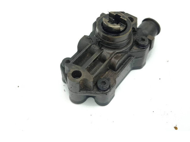 Vstřikovací čerpadlo A6110900250, 05080255AA   Mercedes-Benz S W220     
