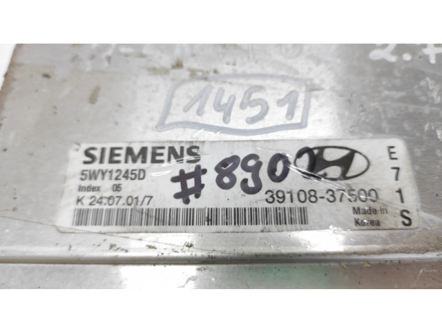 Řídící jednotka 5WY1245D, 3910837500   Hyundai Santa Fe 2002