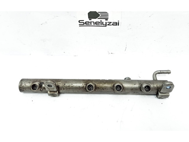 Vstřikovací lišta A6420702595, 1134903   Mercedes-Benz R W251    642872 