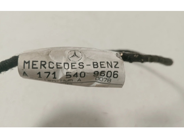 Блок управления A1715409606, A1715409606   Mercedes-Benz SLK R171