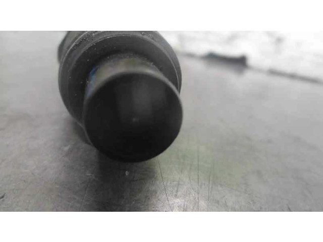 Vstřikovač 9430030212, BOSCH   Tata Safari    D/483DLTC55 