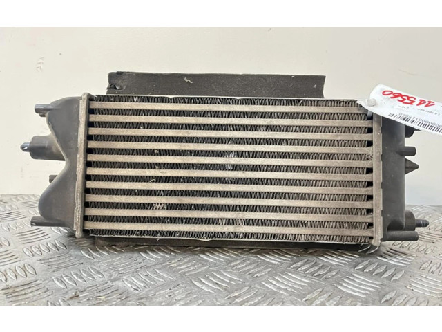 Интеркулер  AV219L440AC, AV219L440AC   Ford Ecosport 