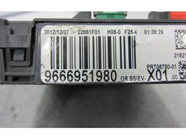   Pojistková skříňka 9666951980   Peugeot 207 2013