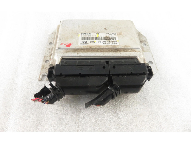 Řídící jednotka 3910127250, 0281010315   Hyundai Santa Fe 2001