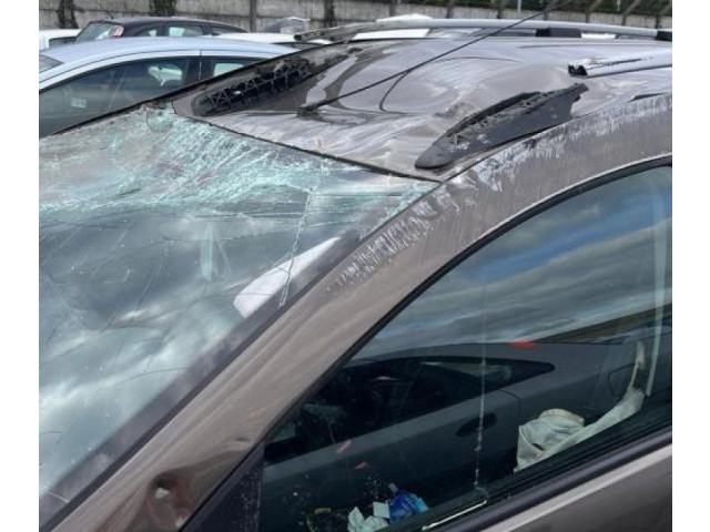 Volant Dacia Logan II 2019 484305096R  