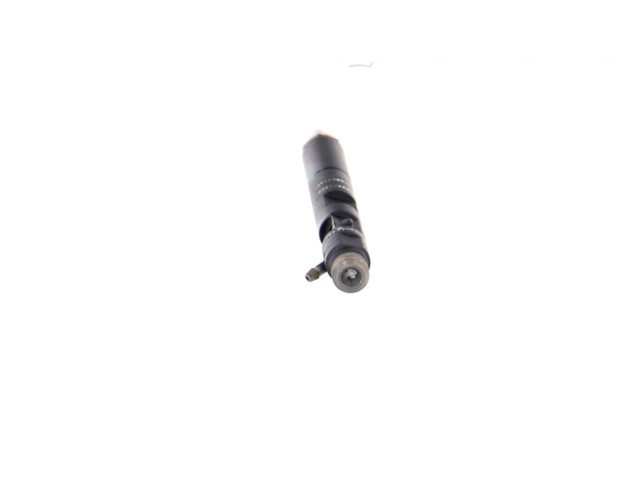 Vstřikovač R05101D, R05101D   Nissan Kubistar     