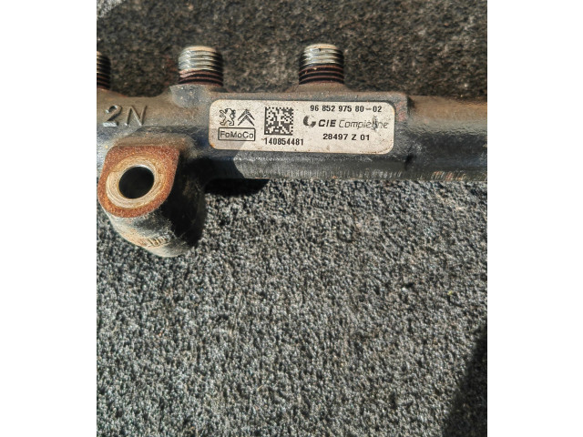 Vstřikovací lišta 9685297580   Peugeot 3008 I     