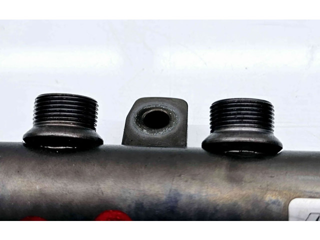 Vstřikovací lišta 175216420R   Renault Megane III     