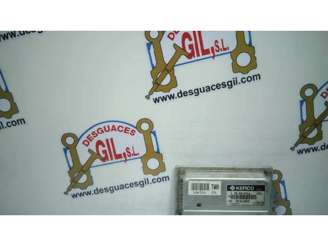 Řídící jednotka 3911022525, 44431   Hyundai Accent 2002