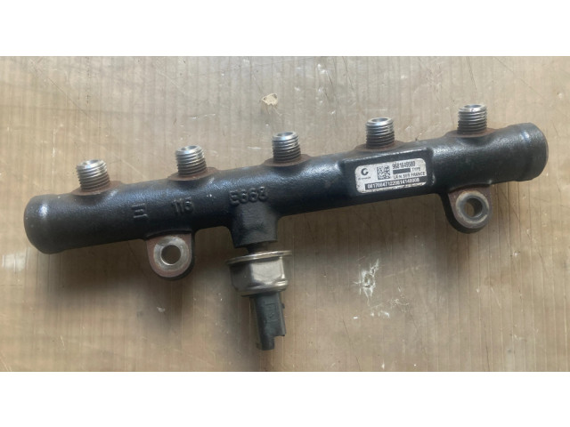 Топливная рампа 9681649580, 0817004712   Ford Kuga I 2.0 