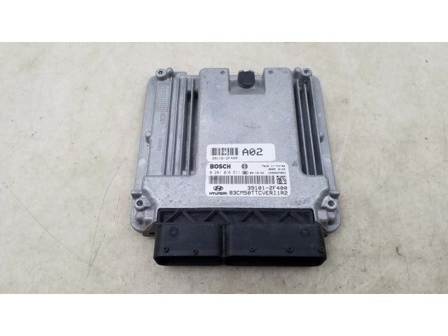 Блок управления двигателя 391012F400   Hyundai Santa Fe