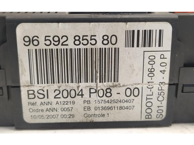   Pojistková skříňka 9659285580   Peugeot 207 2007