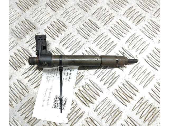 Vstřikovač 9687454480   Land Rover Range Rover Evoque L538    224DT 