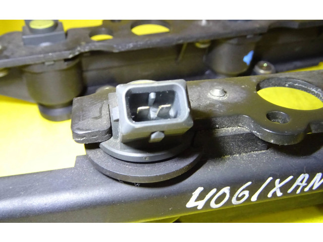 Топливная рампа 9623551680, 9623551580   Peugeot 406  
