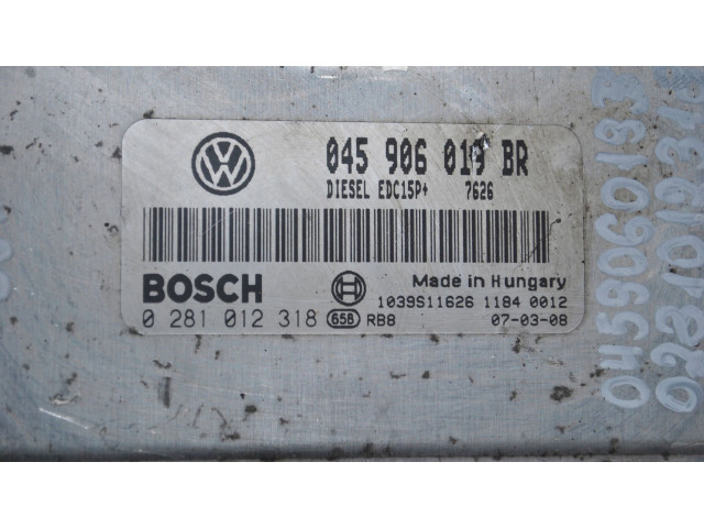 Řídící jednotka 045906019BR, 0281012318   Skoda Fabia Mk1 (6Y) 2007
