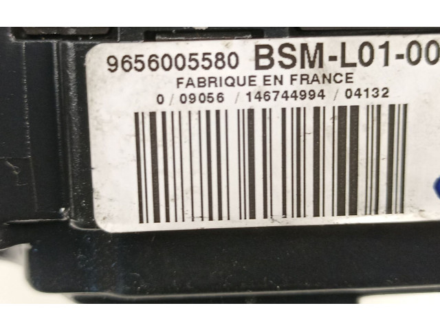 Pojistková skříňka Řídící jednotka BSM 9656005580   Peugeot 407 2004