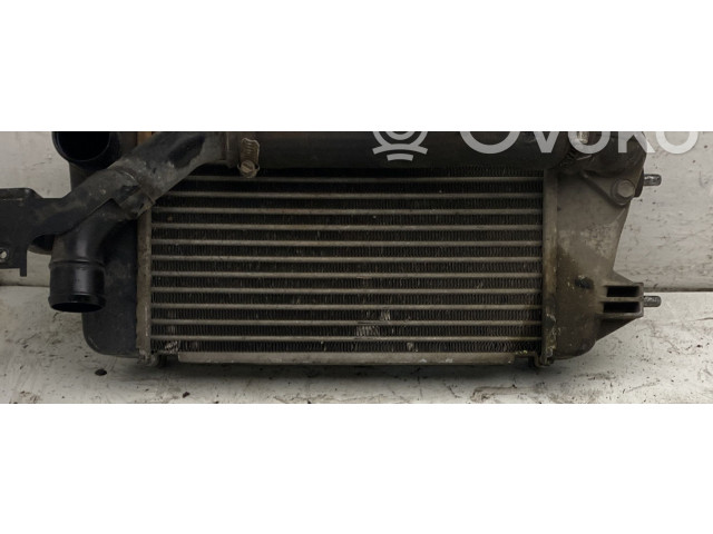 Интеркулер     Suzuki Swift 