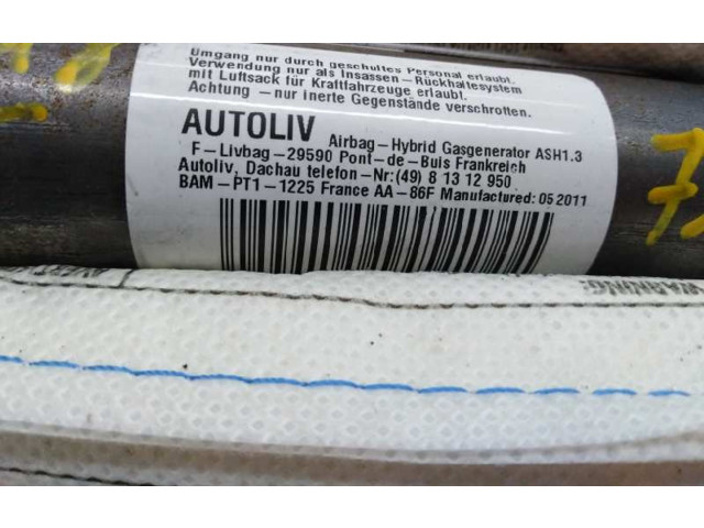Подушка безопасности двери 2188600102, E1-A2-19-2   Mercedes-Benz CLS C218 X218