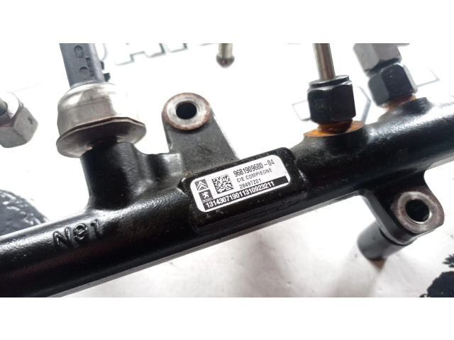 Vstřikovací lišta 9681909680, 13143071   Ford Grand C-MAX  pro naftový motor 2.0  