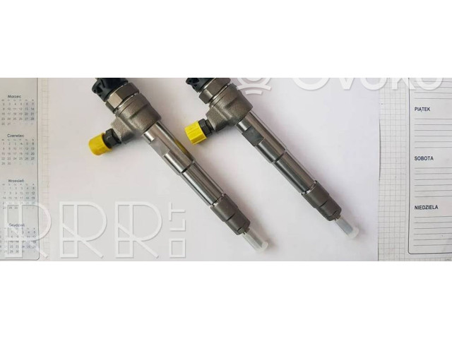 Vstřikovač 0445110800, 166007427R   Renault Megane IV     