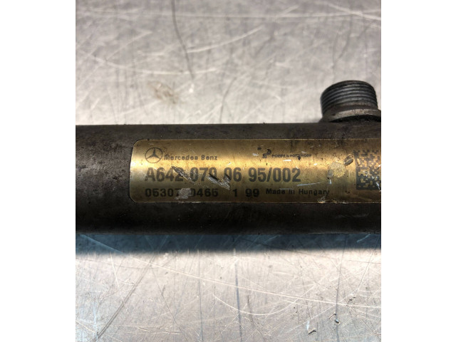Vstřikovací lišta A6420700695, 053070465   Mercedes-Benz R W251    OM 642.950 